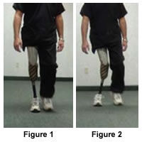 Figure 1 and 2