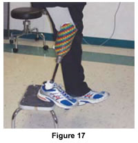 Figure 17