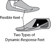 Prosthetic Feet 05