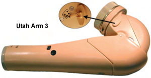Utah Arm 3